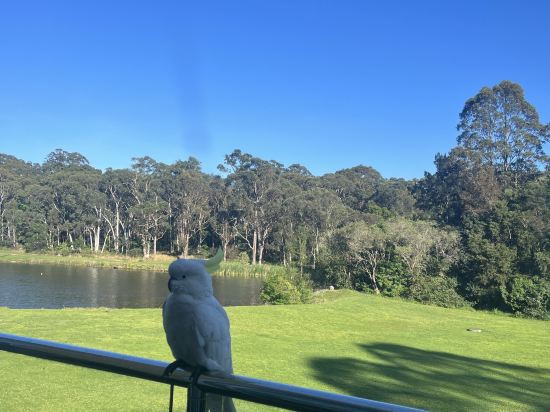 MGSM行政酒店優惠