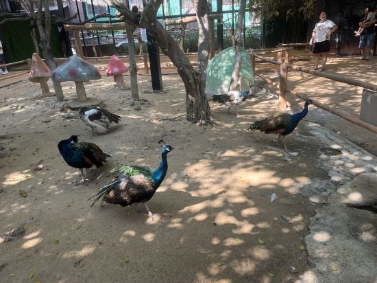 東莞隱賢山莊酒店優惠