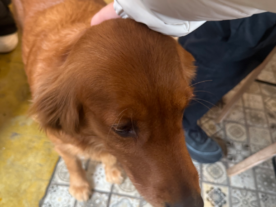 黑水山間畫裏客棧優惠