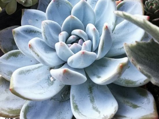 澳門假期酒店優惠