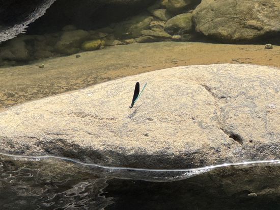 嵊州祥瑞·溪隱民宿優惠