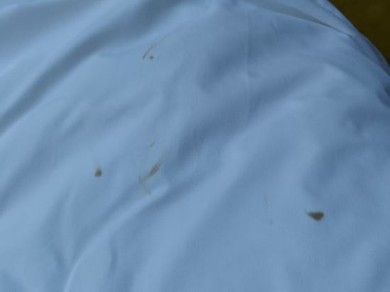 維也納國際酒店（肇慶中心湖景店）優惠