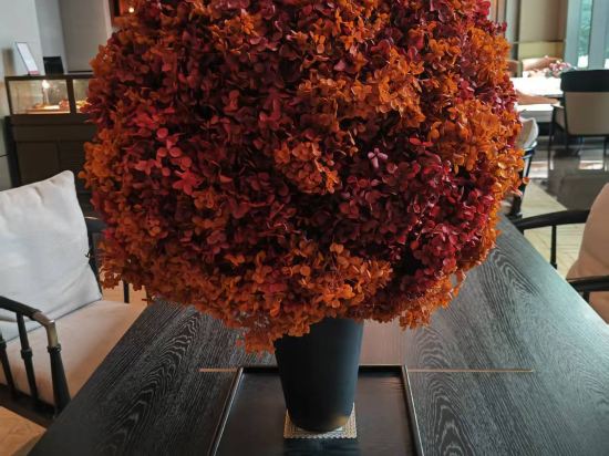 東莞洲際酒店優惠