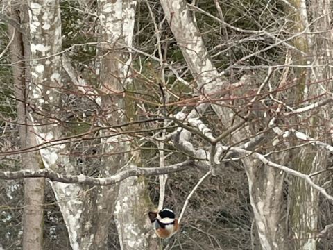 奥塩原高原ホテル クーポン