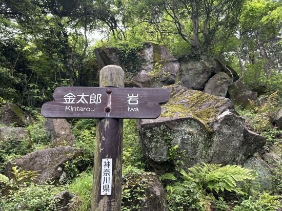 ホテルグリーンプラザ箱根 クーポン