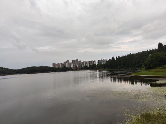 라마다 군산호텔 쿠폰