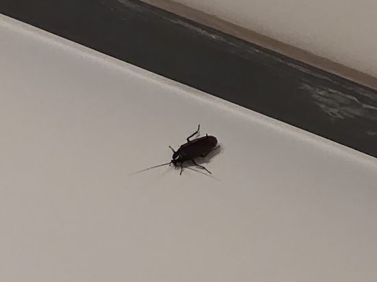 에코그린리조트 쿠폰