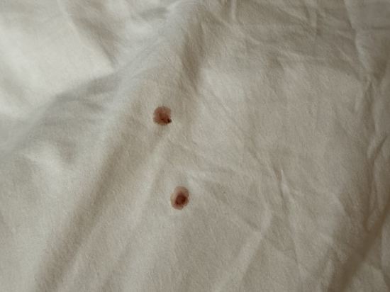 天然温泉 凌雲の湯 御宿 野乃 浅草 クーポン