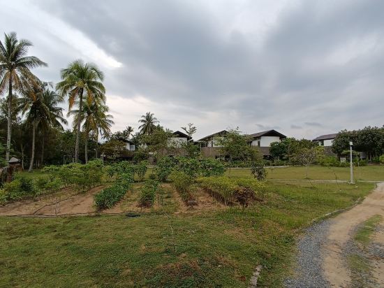 瑞僖敦民丹島度假村優惠