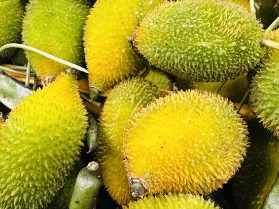 檳城喬治敦中環酒店優惠