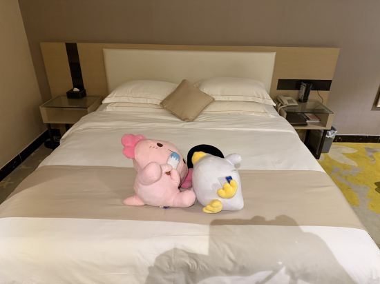 深圳凱利賓館優惠