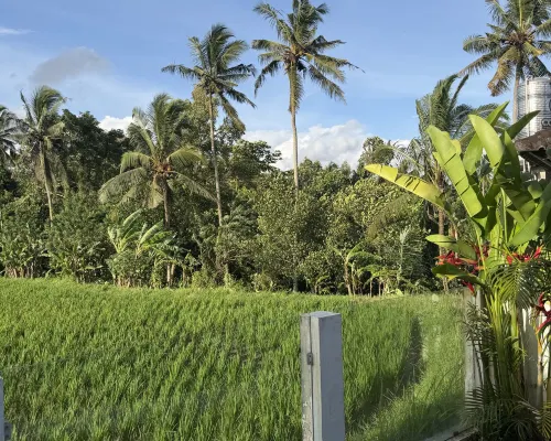Tembaga Serenity Villa – Paradise with Pool and Garden Xung quanh Photos
