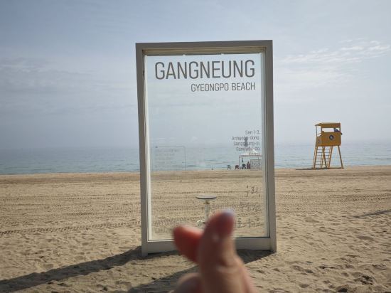 스카이베이 호텔 경포 쿠폰