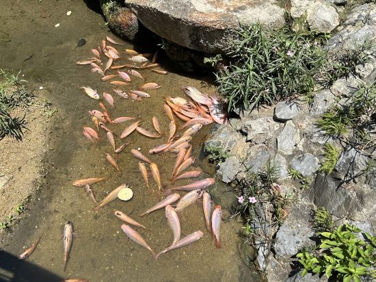 安達曼白色海灘度假酒店（SHA Extra Plus）優惠