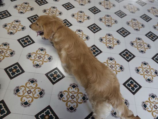 SlowHouse 花喜民宿（西街鐘樓店）優惠