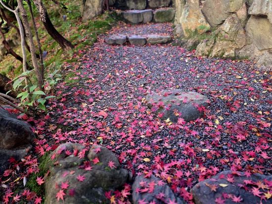 京都威斯汀飯店優惠
