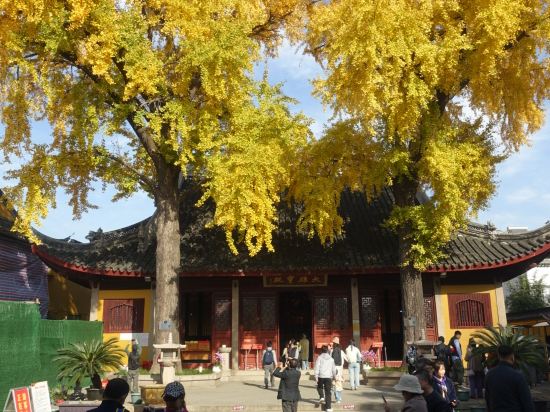 扉縵酒店（蘇州大學觀前街平江路店）優惠