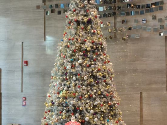 深圳星河吉酒店臻品之選優惠