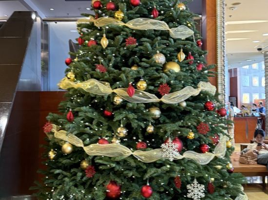 香港尖沙咀皇悦酒店優惠