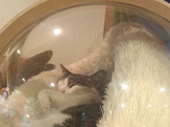 赤沢温泉旅館 クーポン