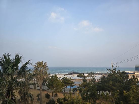 제주 마레보비치호텔 쿠폰
