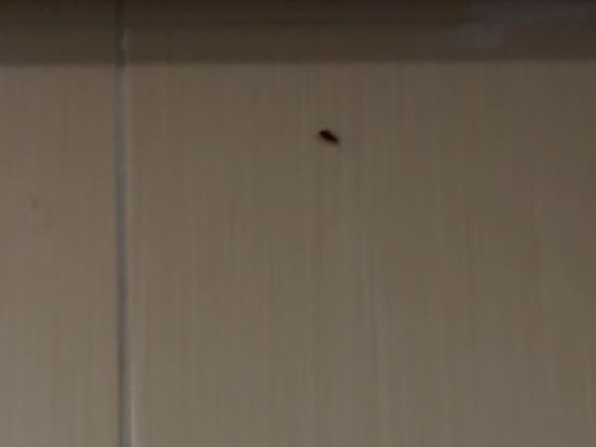 杜拜弗蘭克魯丁特勒潘套房酒店優惠