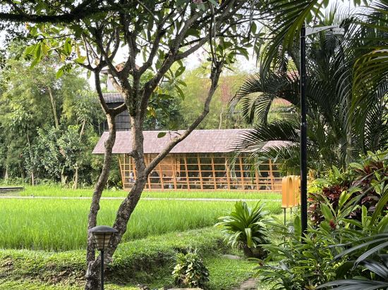 烏布阿賴耶度假村優惠