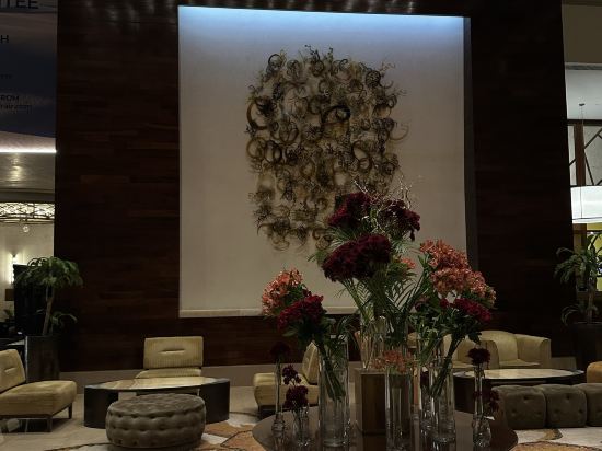 杜拜阿古來爾瑞士酒店優惠