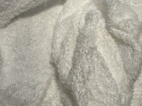 新加坡烏節希爾頓酒店 （SG Clean）優惠