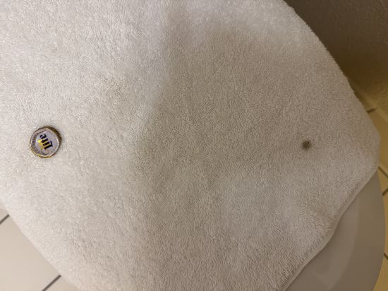 奧蘭多博偉湖萬豪村莊費爾菲爾德旅館及套房酒店優惠