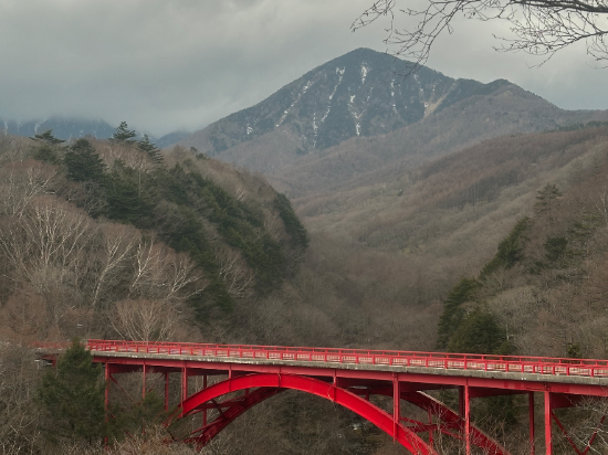 清泉寮 クーポン