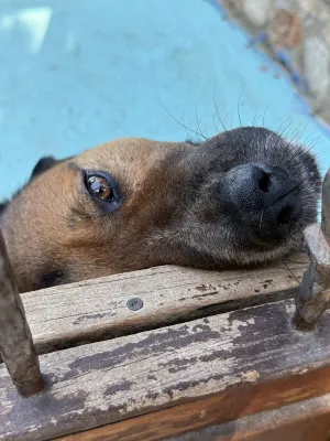 博德魯姆石屋飯店 Photos