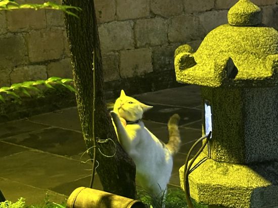 鳳凰清溪禪院優惠