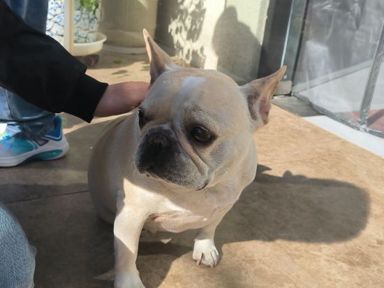 小院河畔民宿優惠