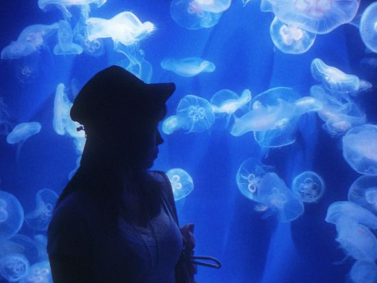 神戸みなと温泉 蓮 - 大人限定 クーポン