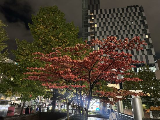 札幌京阪飯店優惠