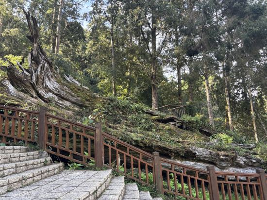 溪頭福華渡假飯店優惠