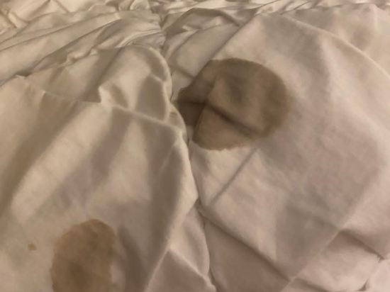 薩爾茨堡阿梅迪亞藝術貝斯特韋斯特優質酒店優惠