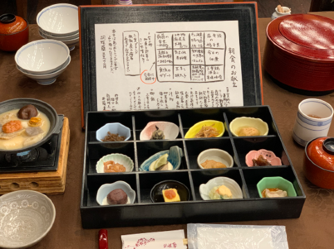 胡蝶蘭 クーポン