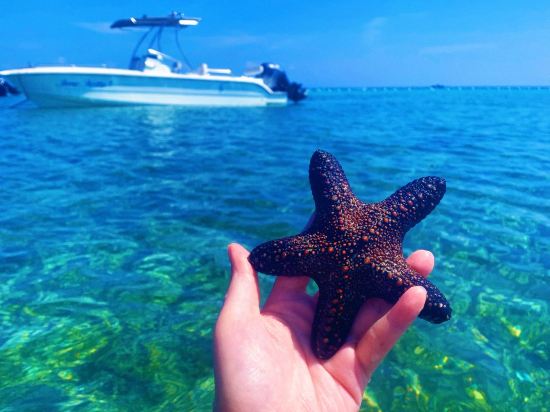 貝爾福度假酒店優惠