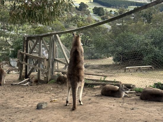 貝斯特韋斯特機場汽車旅館及會議中心優惠