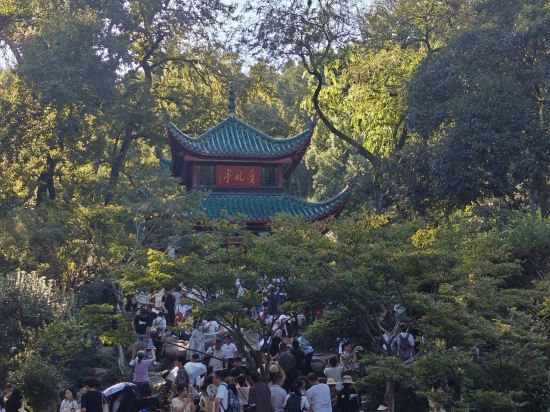 長沙晚報大道亞朵酒店優惠