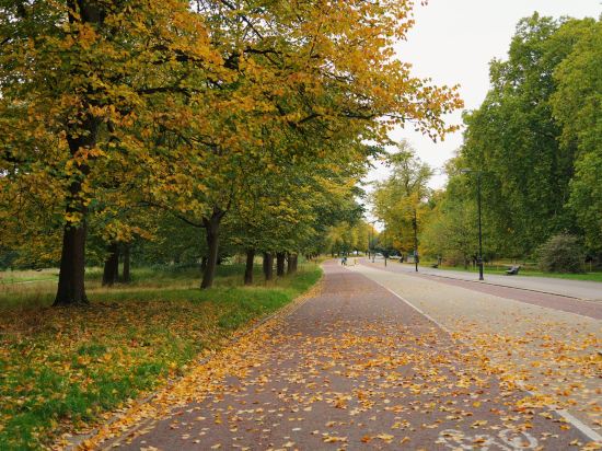 倫敦帕丁頓希爾頓酒店優惠