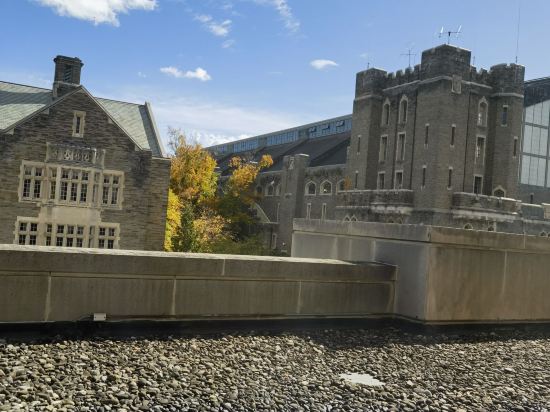 康奈爾大學斯塔特勒酒店優惠