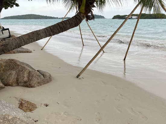 查汶海灘住宿度假村優惠