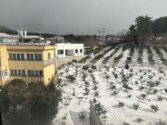 호텔 더본 제주 쿠폰