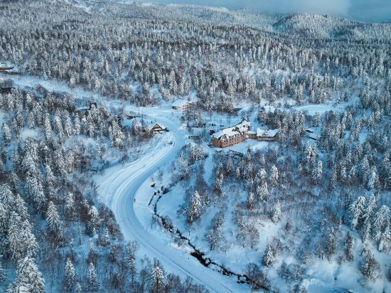 ラビスタ大雪山 クーポン