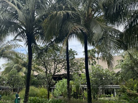 巴釐凱悦酒店優惠