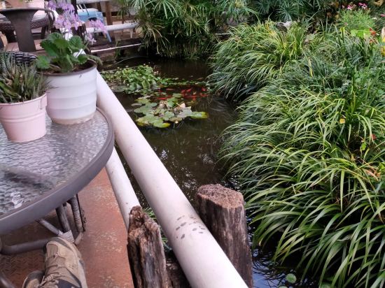 麗江老謝車馬店優惠