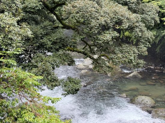 おちあいろう クーポン